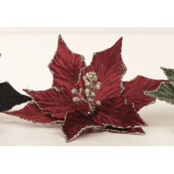 Julestjerne dekorationsblomst